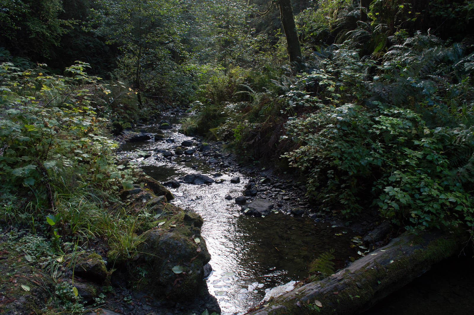 Little River